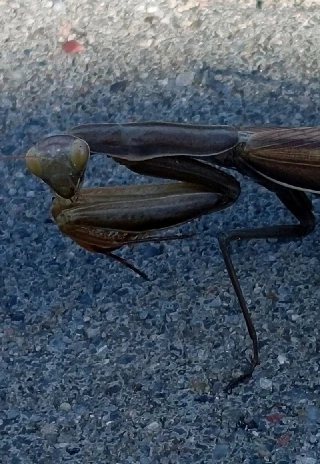 GIF dodany przez Szymon