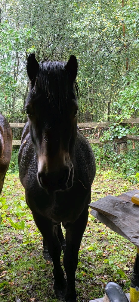 Image uploaded by Dylan