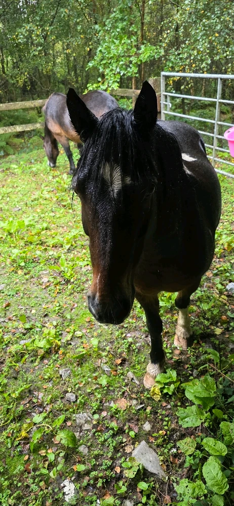 Image uploaded by Dylan