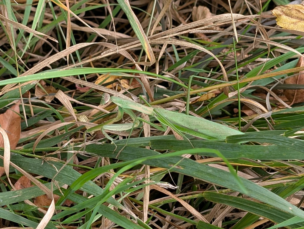 GIF uploaded by Zach