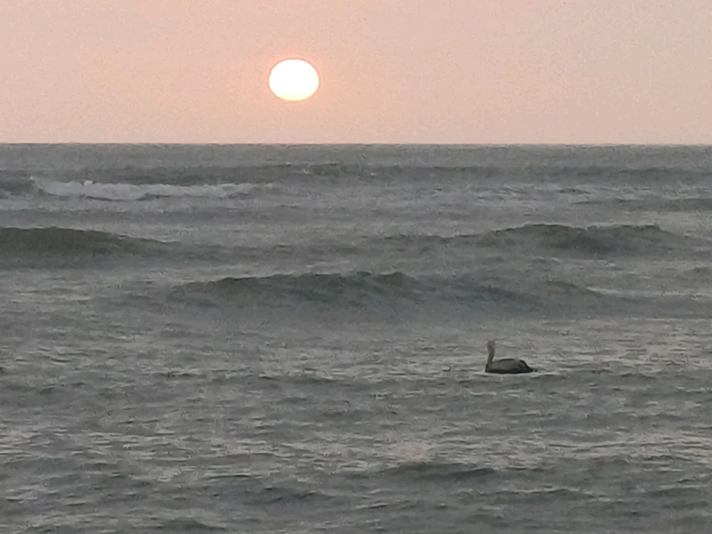 GIF uploaded by André