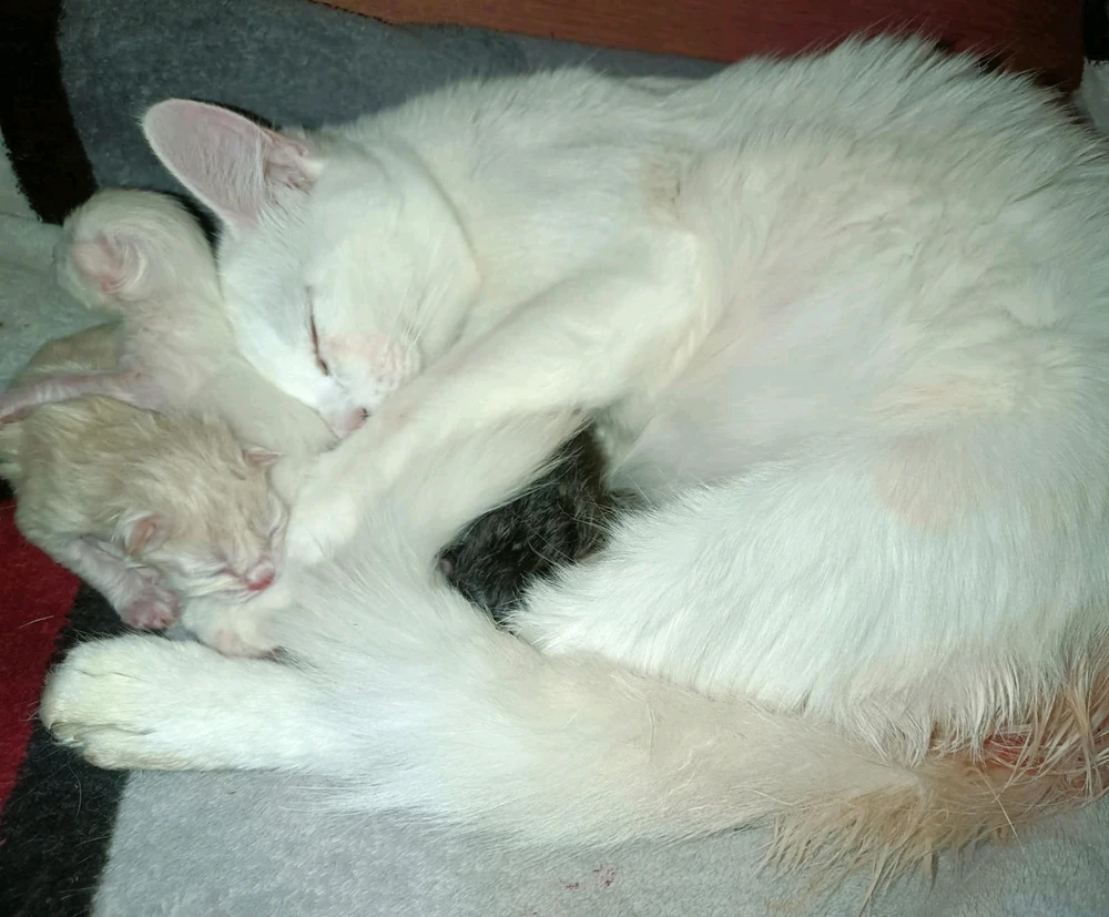 two people sharing a moment