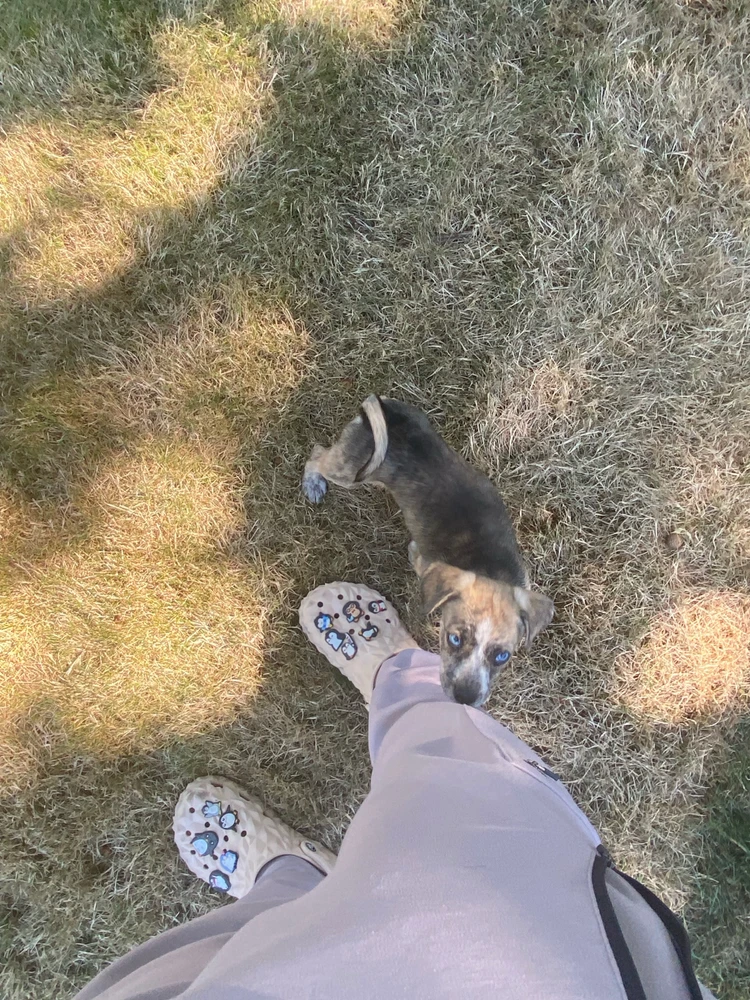 GIF uploaded by Marcos