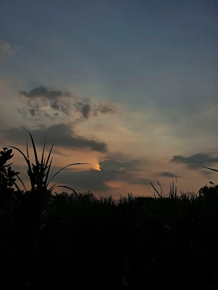 GIF diunggah oleh Nadia