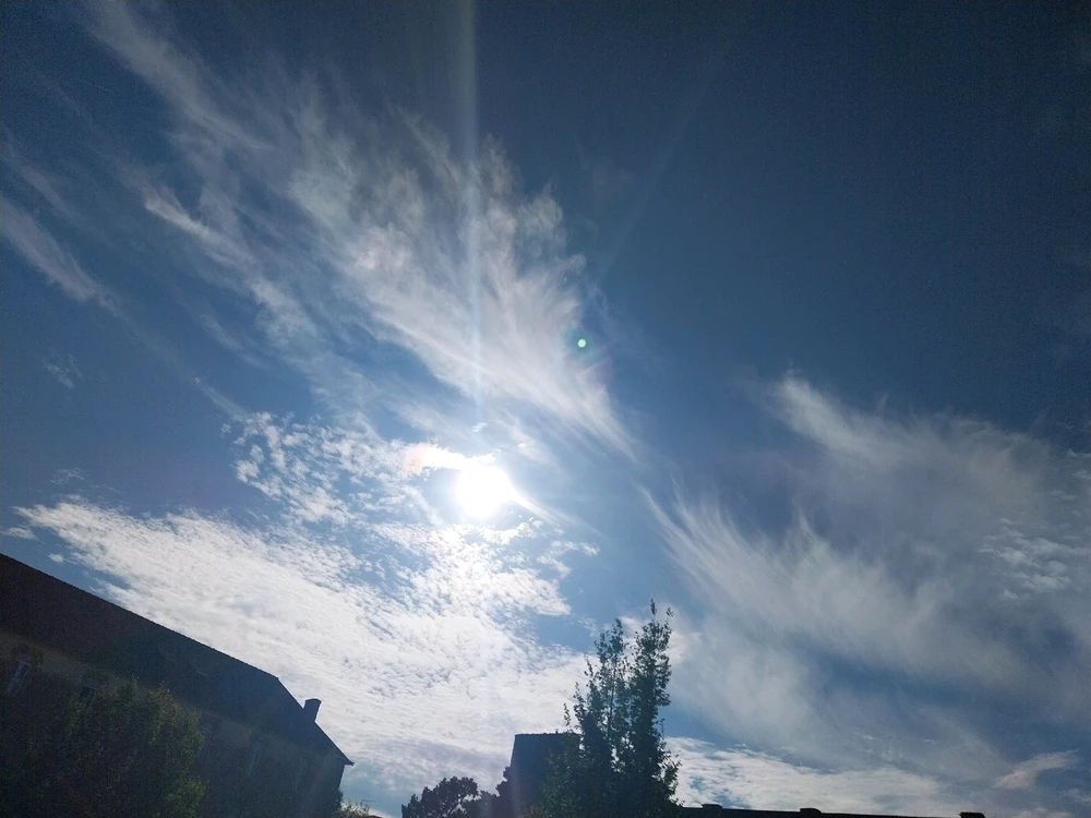 Image ajoutée par Boréale, la tabaxi folle.