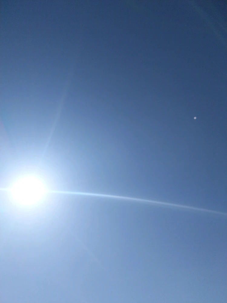 Image ajoutée par Boréale, la tabaxi folle.