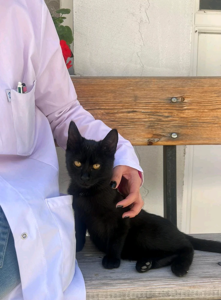 Need a name for this beauty