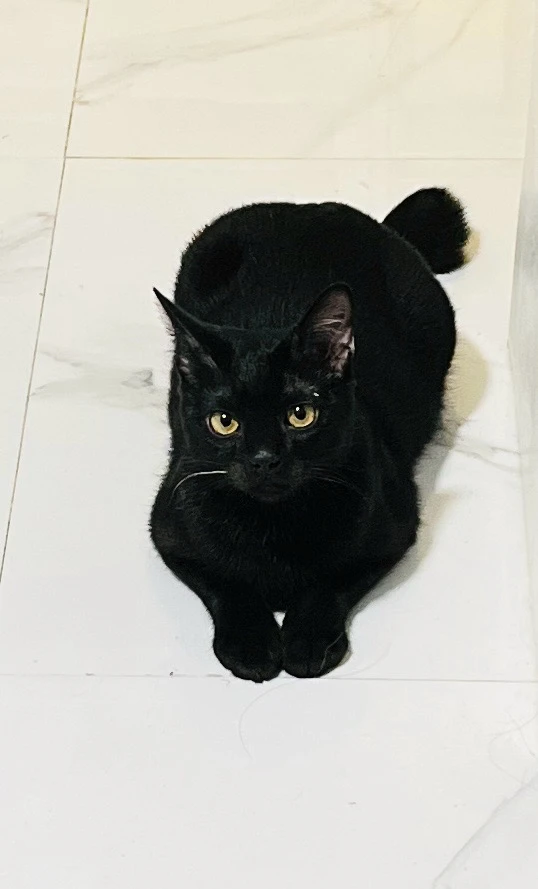 Image uploaded by Andel