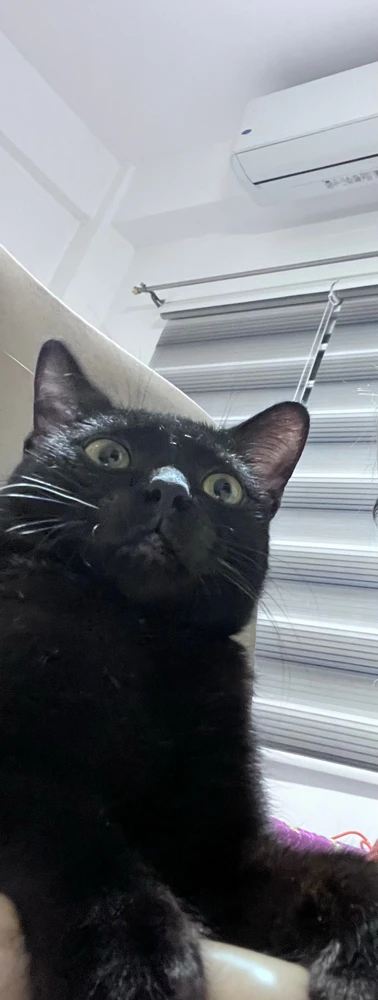 Image uploaded by Andel