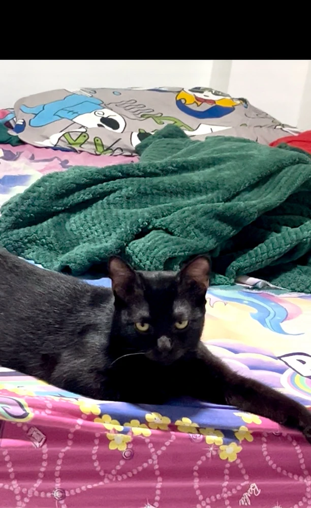 Image uploaded by Andel