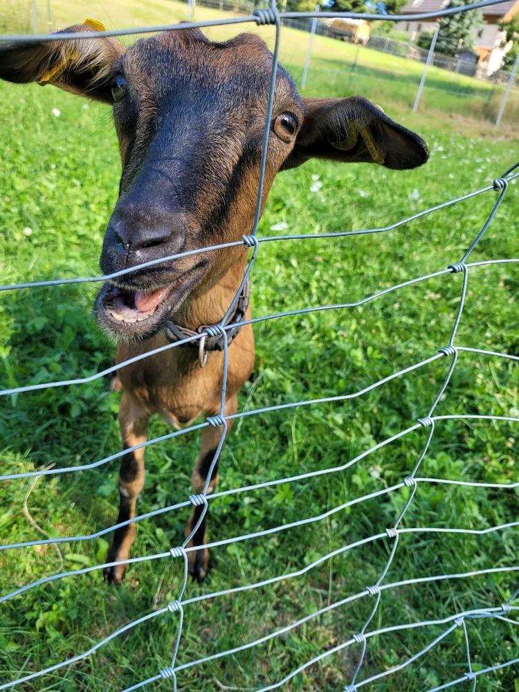 GIF uploaded by Kyle Stephens