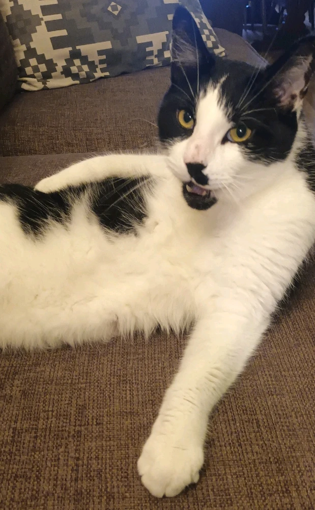 GIF uploaded by Lise