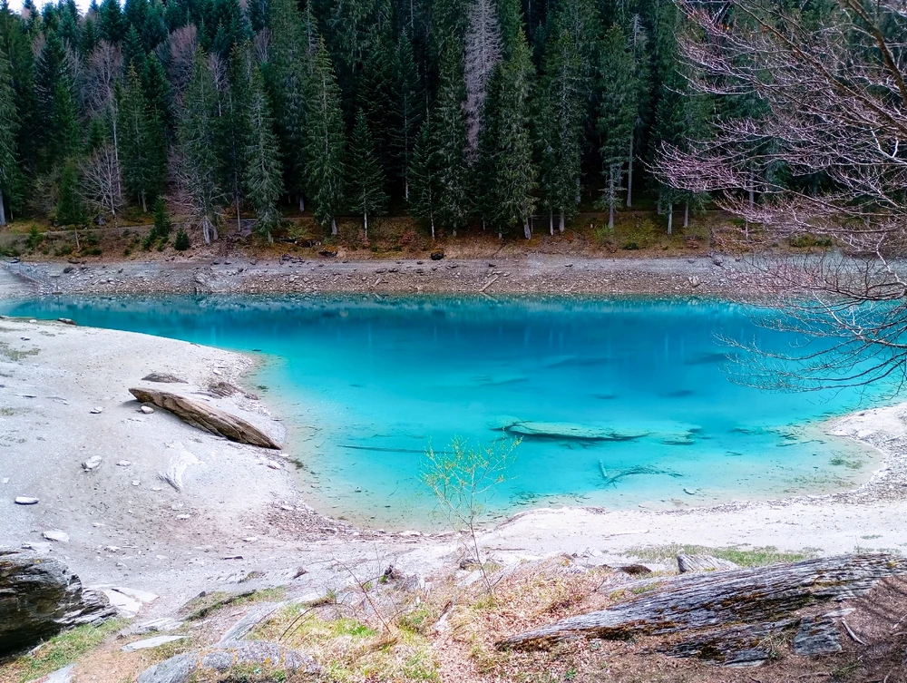 Immagine caricata da Alessia