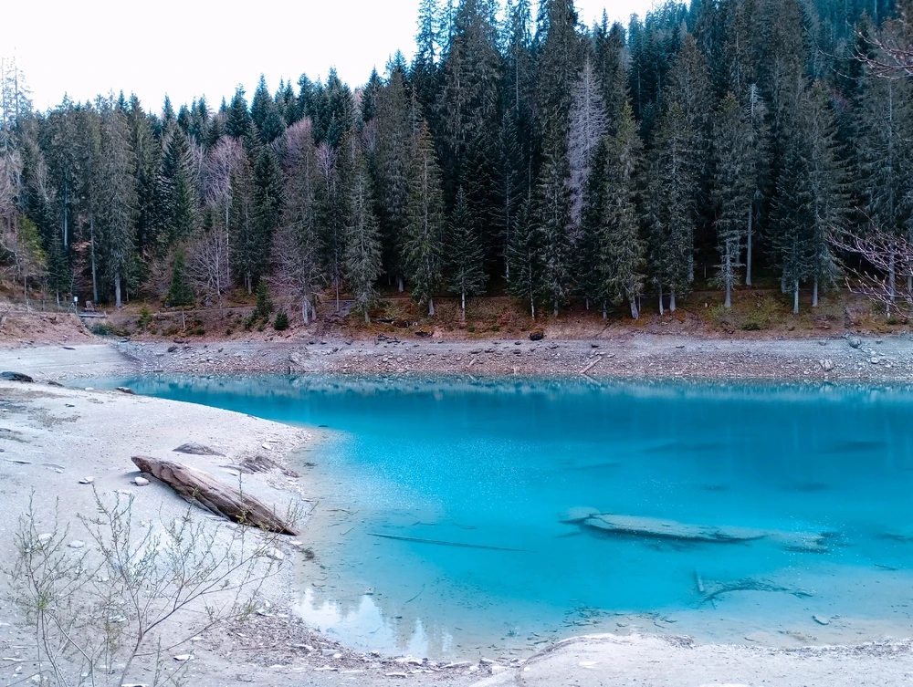 Immagine caricata da Alessia