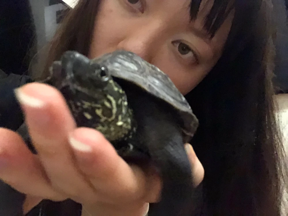 GIF uploaded by 𓂀 𝒦𝑜𝓇𝓇 𓂀