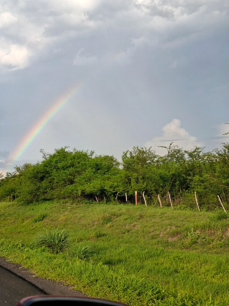 GIF subido por Allys