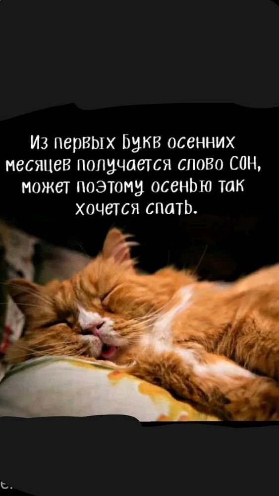 Фото загрузил 𝓐𝓽𝓽𝓮𝓵𝓸𝓲𝓿
