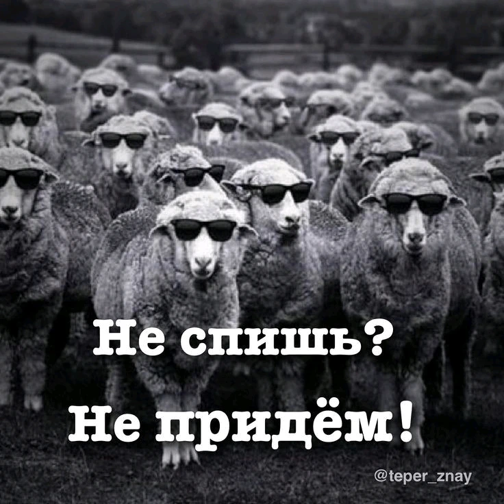 Фото загрузил 𝓐𝓽𝓽𝓮𝓵𝓸𝓲𝓿
