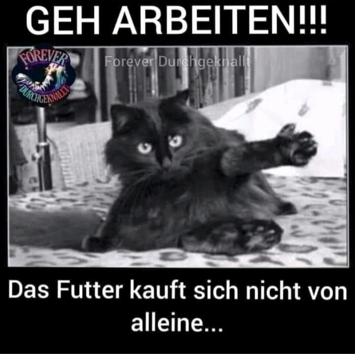 GIF hochgeladen von Saskia