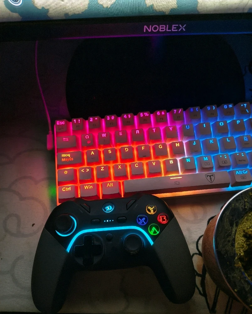 GIF subido por Tomi