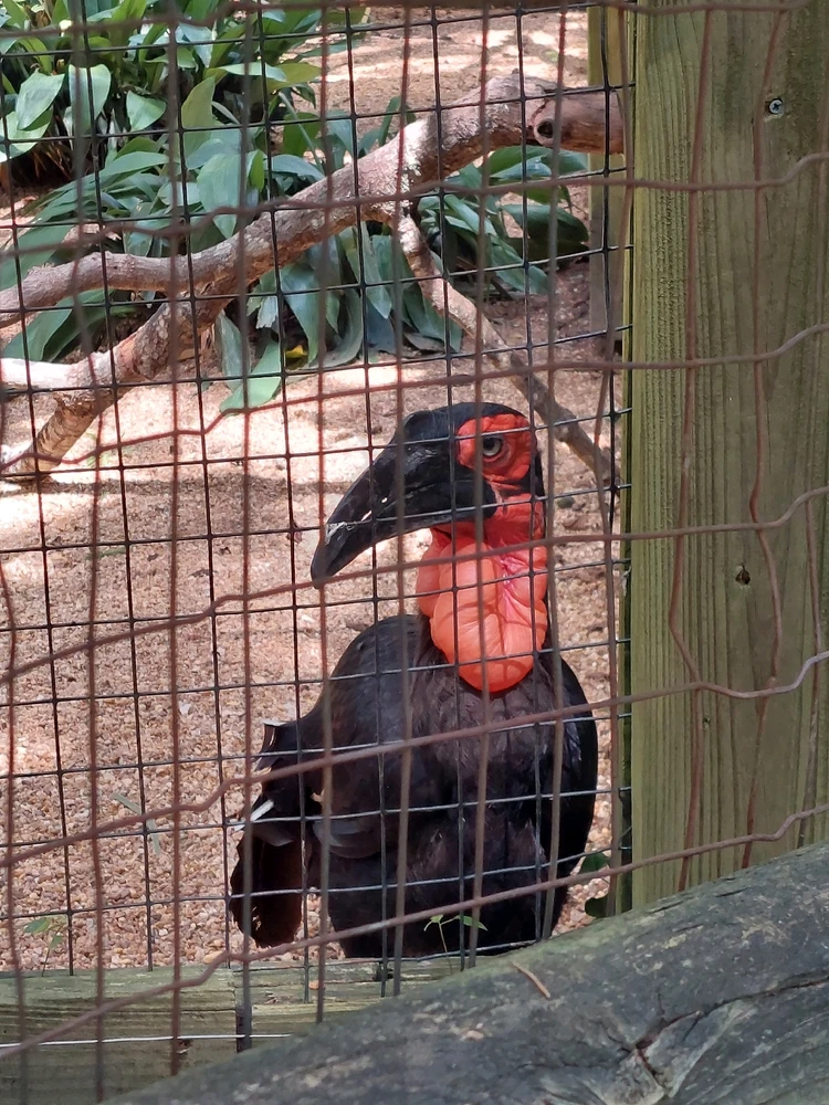 GIF uploaded by Jonathan