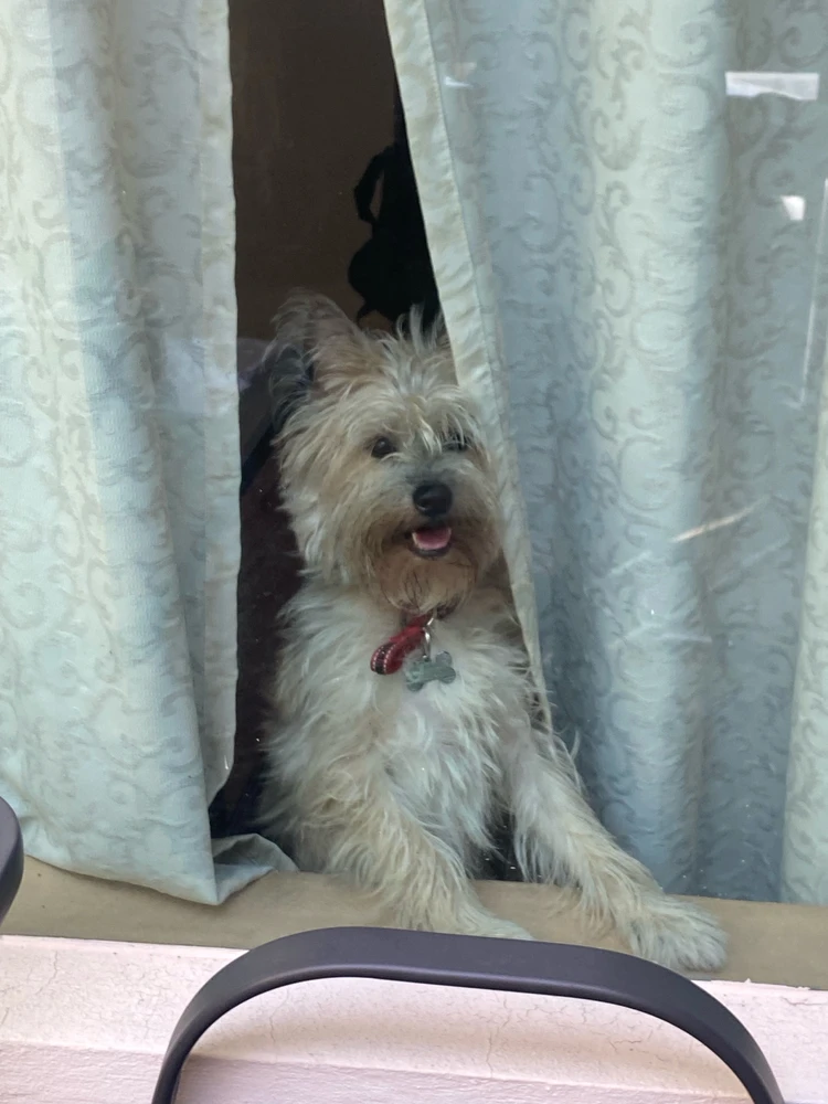 GIF subido por Edgar