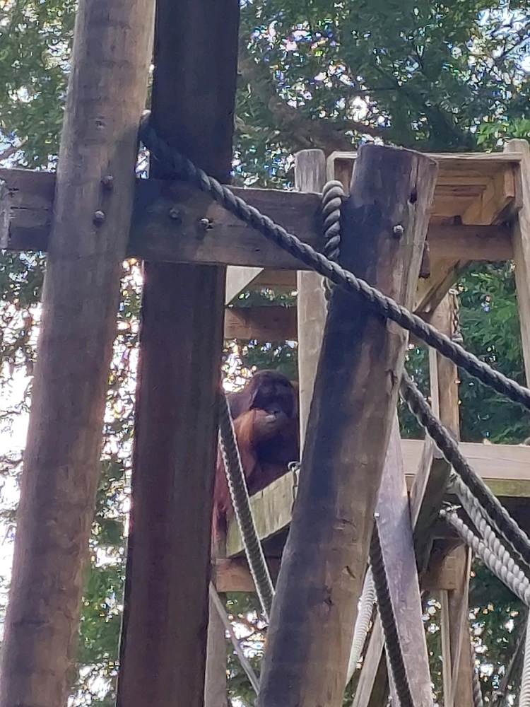 GIF uploaded by Jonathan