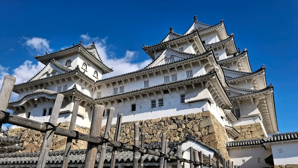 Image uploaded by Chase