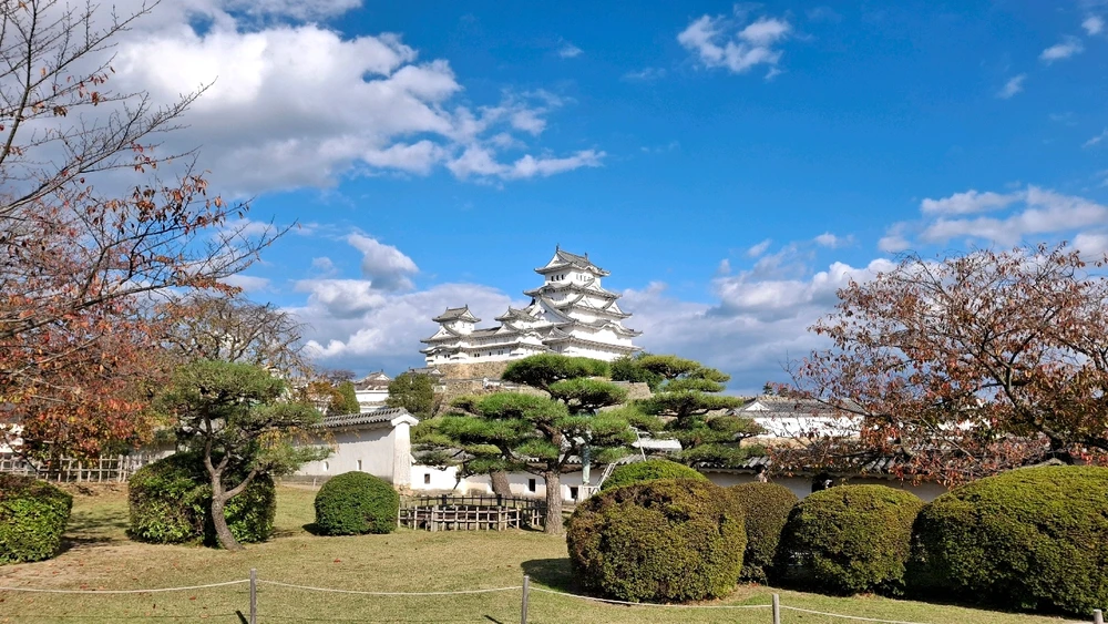 Image uploaded by Chase