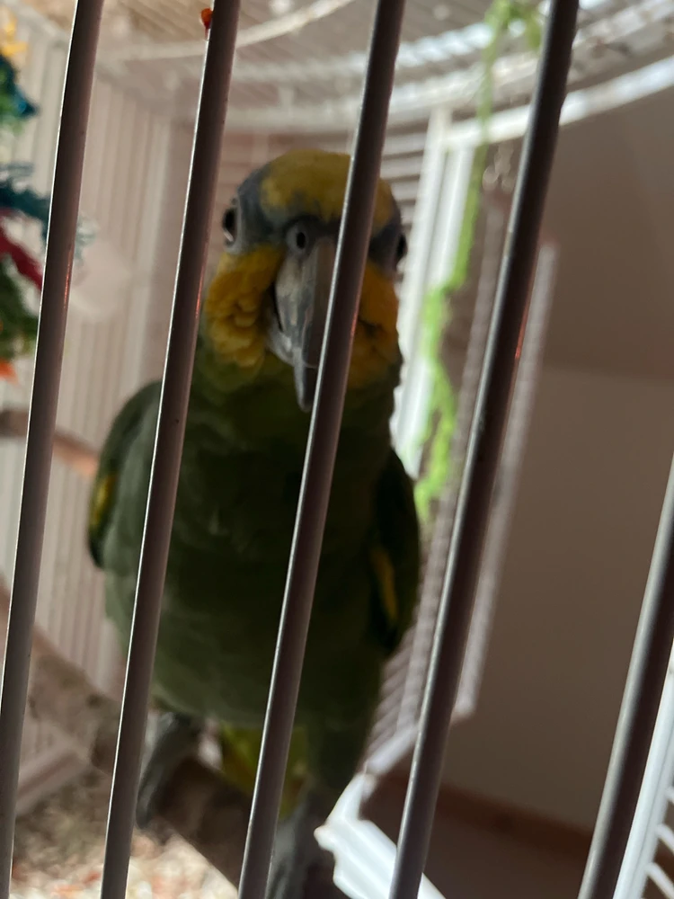 GIF uploadet af Christian