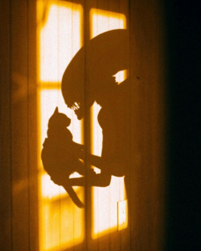 GIF hochgeladen von Doris