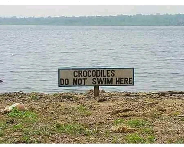 GIF uploaded by 𝑨𝒏𝒆𝒆𝒍..