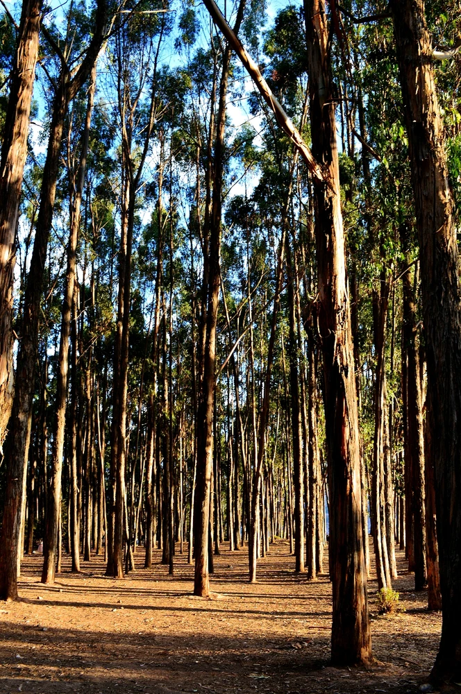 Imagen subida por Maycol