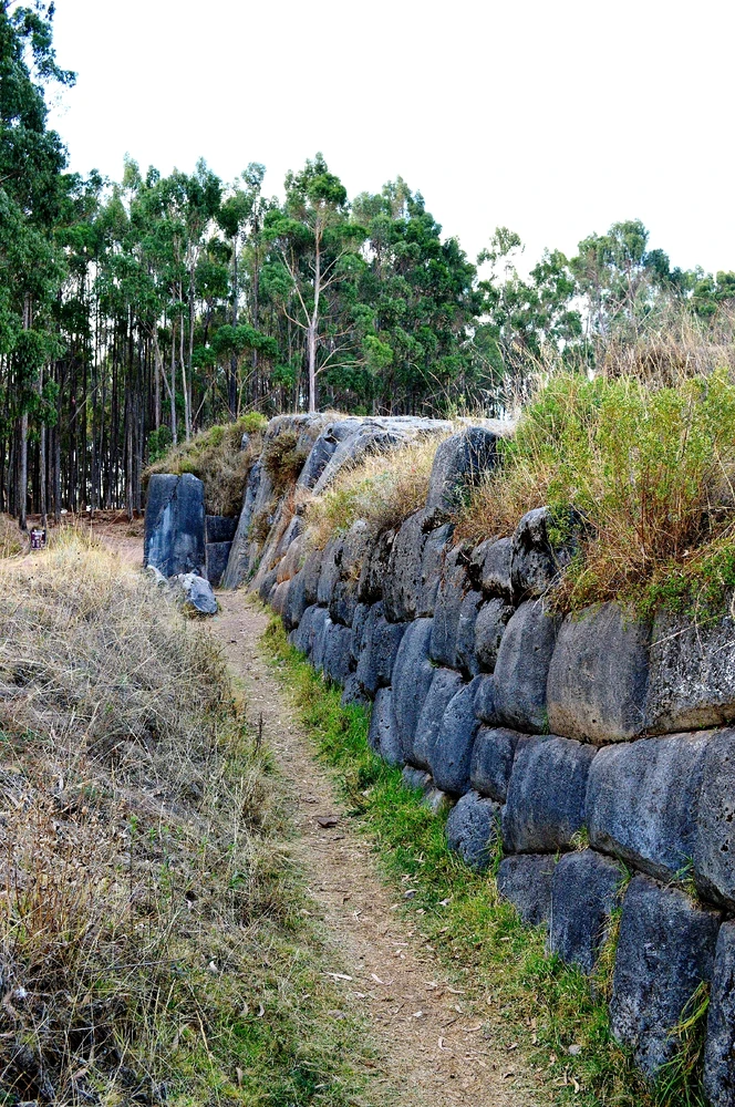 Imagen subida por Maycol