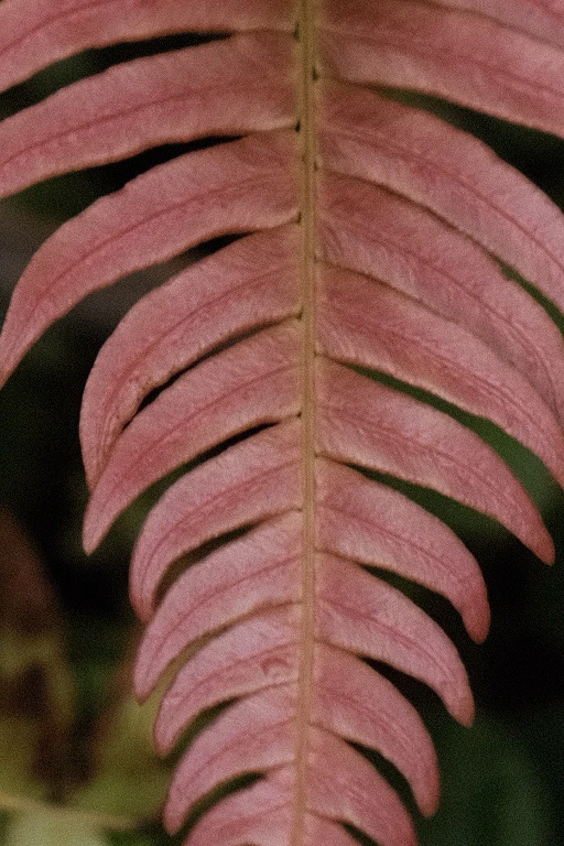 Image uploaded by Alo