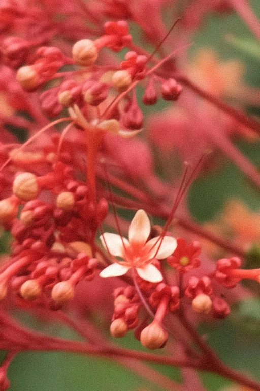 Image uploaded by Alo