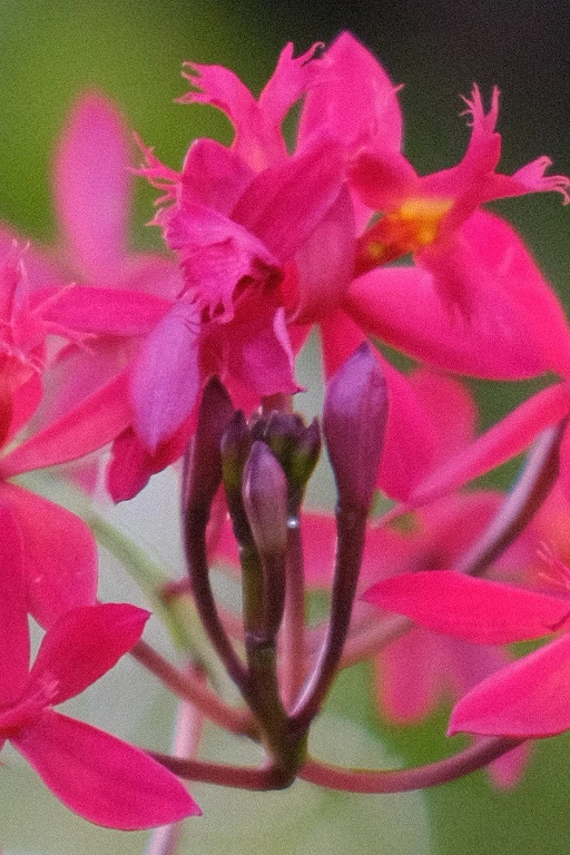 Image uploaded by Alo