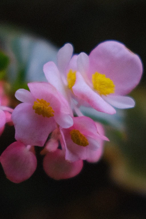 Image uploaded by Alo