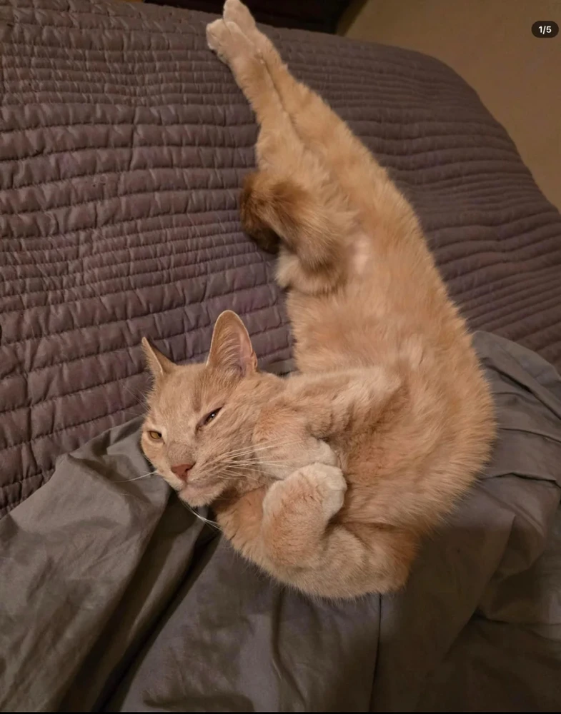 GIF įkėlė Iago