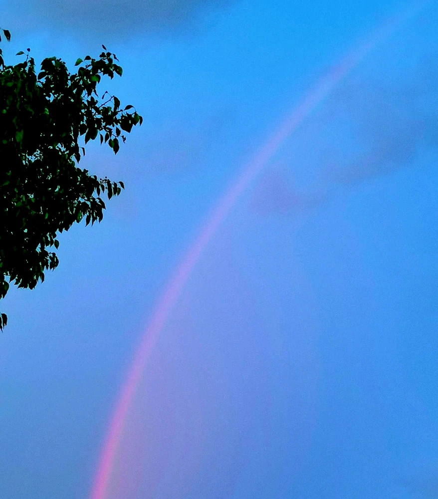 GIF subido por Blanca