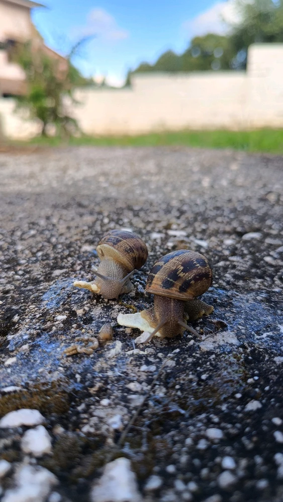 GIF caricata da Tiziana