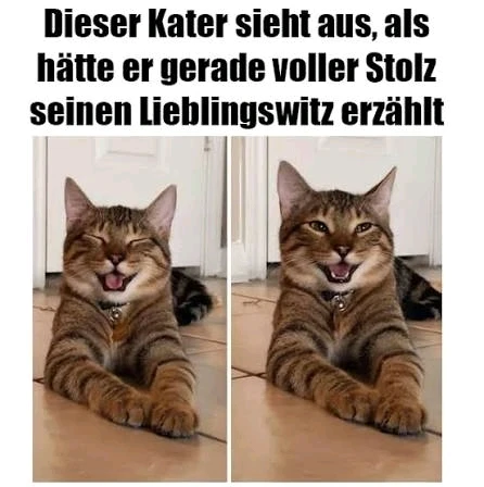 GIF hochgeladen von Saskia