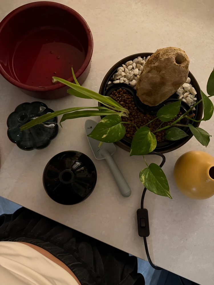 Гіфку завантажив Viktoriia