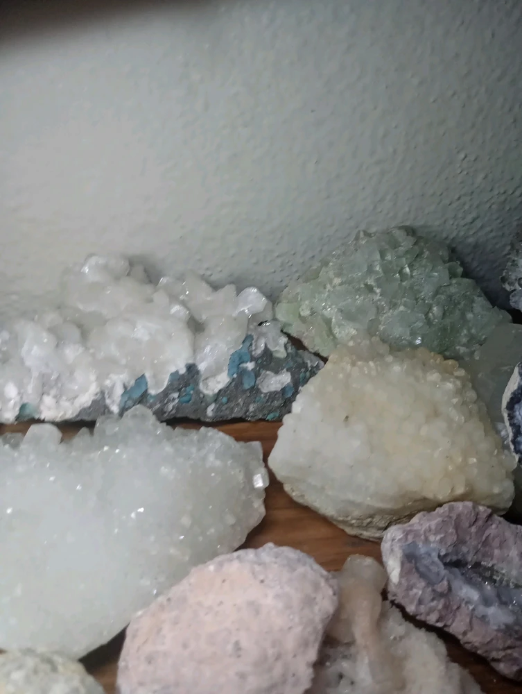 Image uploaded by Jax Campbell