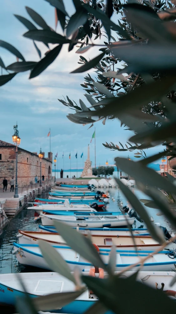 GIF hochgeladen von Nathan