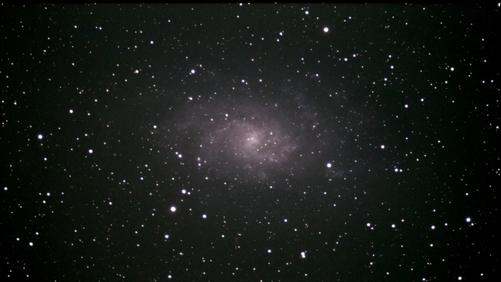 Image uploaded by Shane