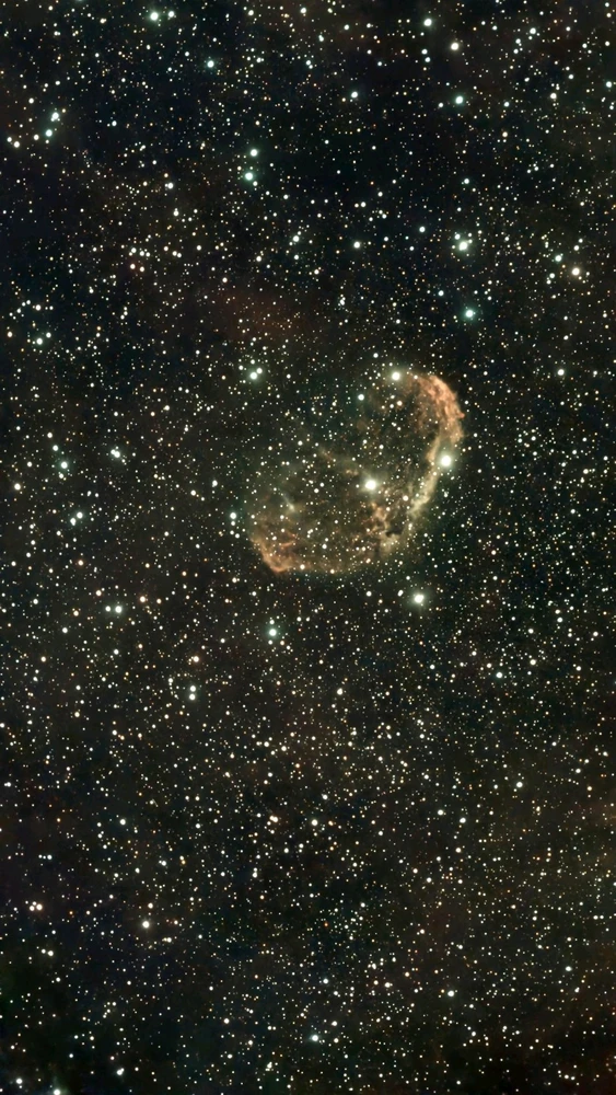 Image uploaded by Shane