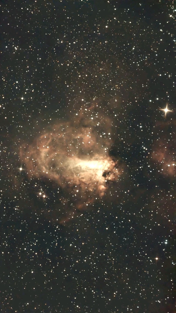 Image uploaded by Shane