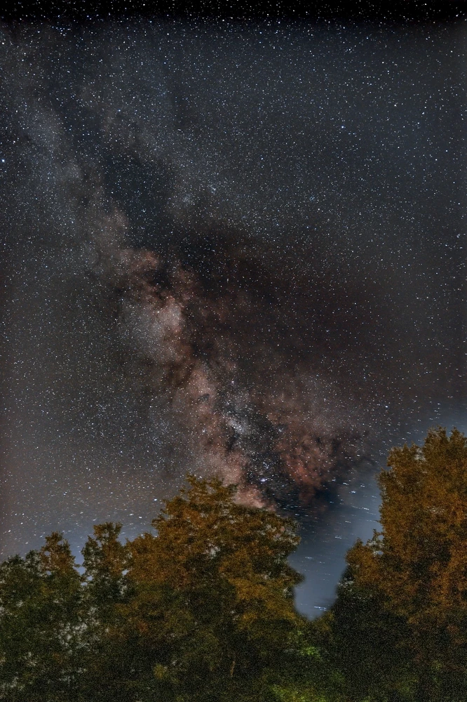 Image uploaded by Shane