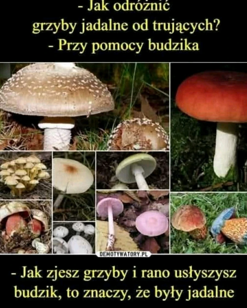 GIF dodany przez Artur